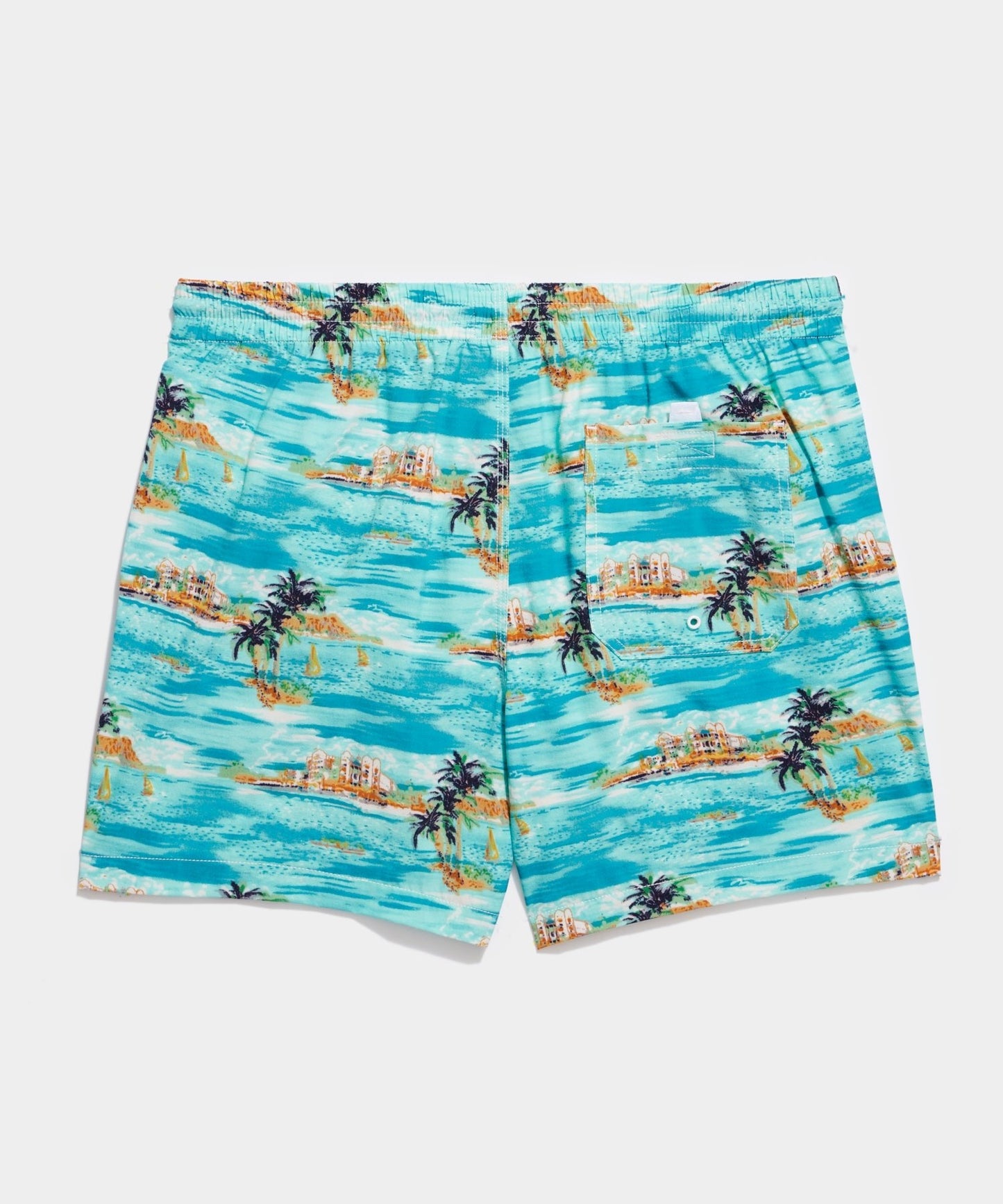 5" Montauk Swim Short in Blue Island Print