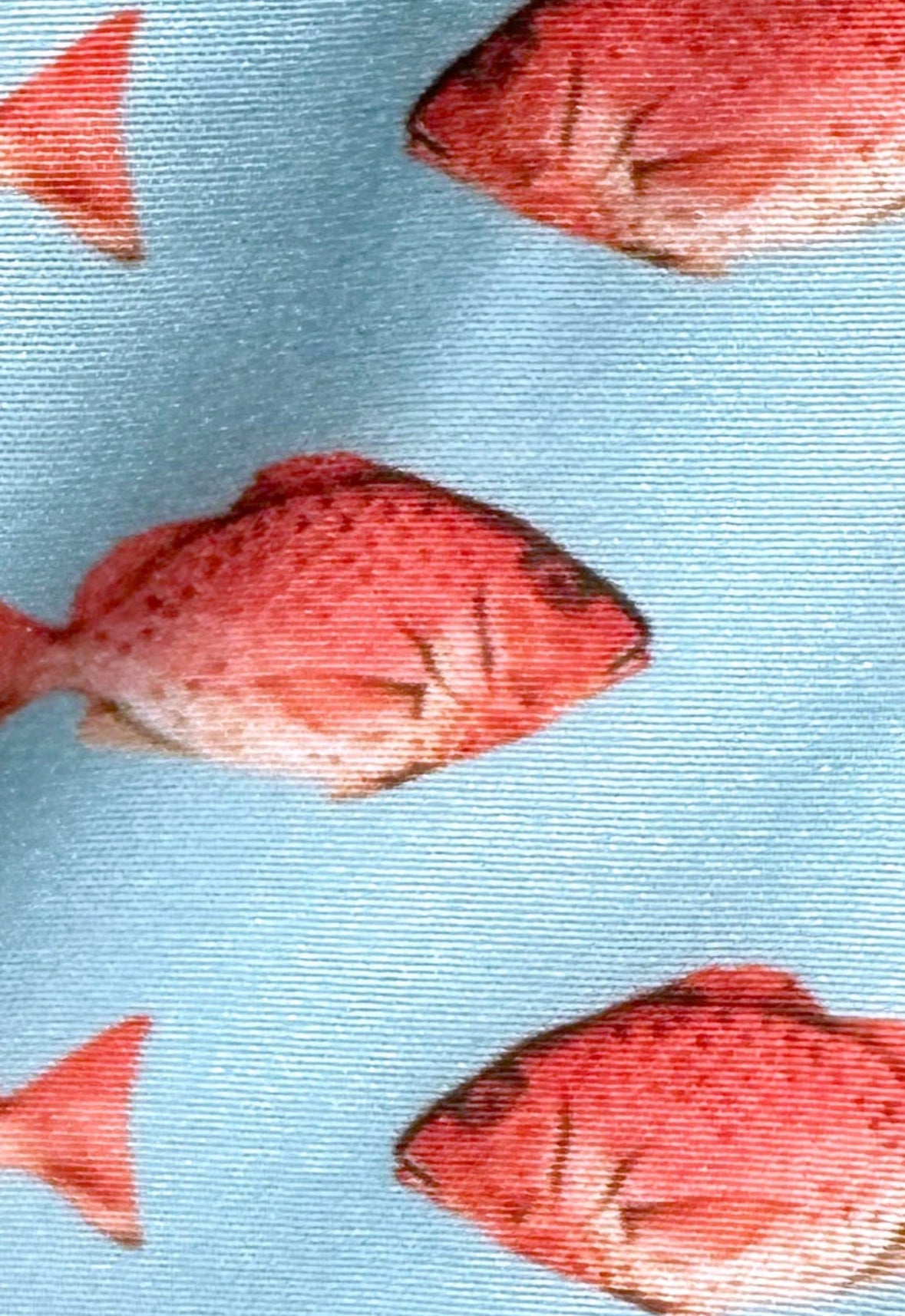 Red Snapper Swimtrunk