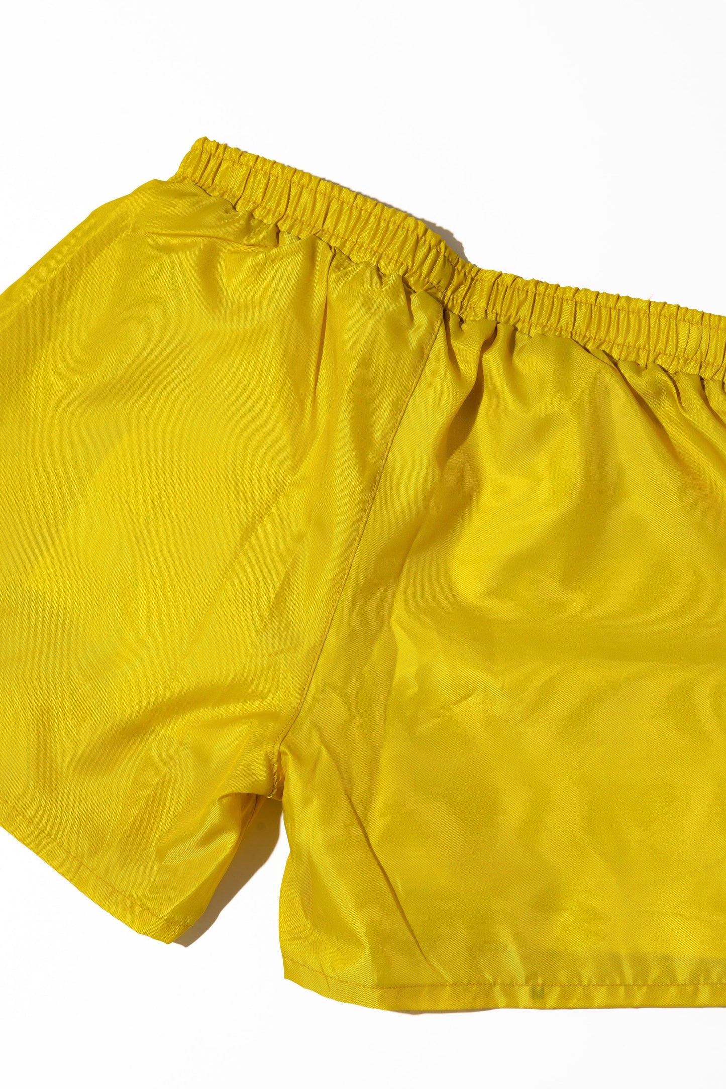 Cathedral Unisex Recycled Swim Shorts